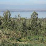 Annapoorna Aahar Flavours Soaked in Tradition